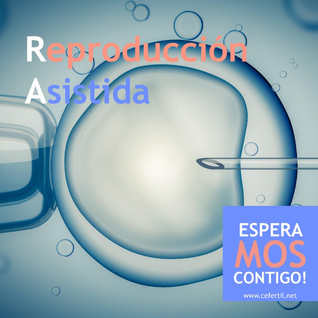 reproducción asistida